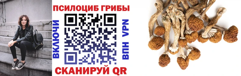 Галлюциногенные грибы прущие грибы Кочубеевское